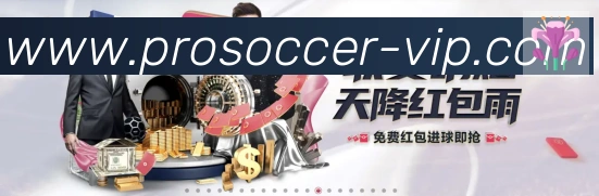 体育数据展示